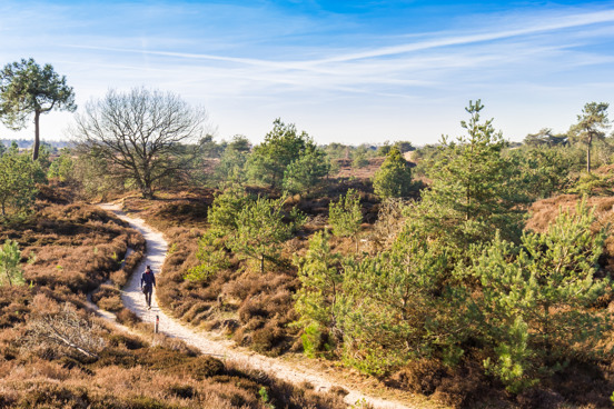 De natuurrijke omgeving Drents Friese Wold rondom een vakantiepark in Weststellingwerf