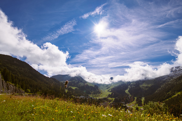 De natuur rondom Flaine