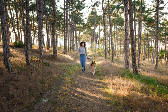 Een actief weekendje weg met de hond