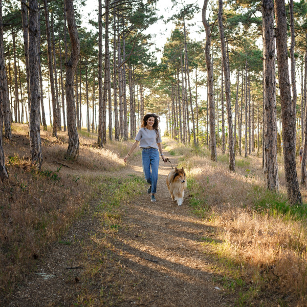 Huisdiervriendelijke accommodaties bij Summio Parcs
