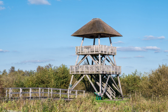 Vakantiepark aan het Nationaal Park de Alde Feanen