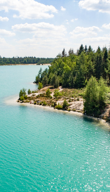 Omgeving Dormio Resort De Hondsrug