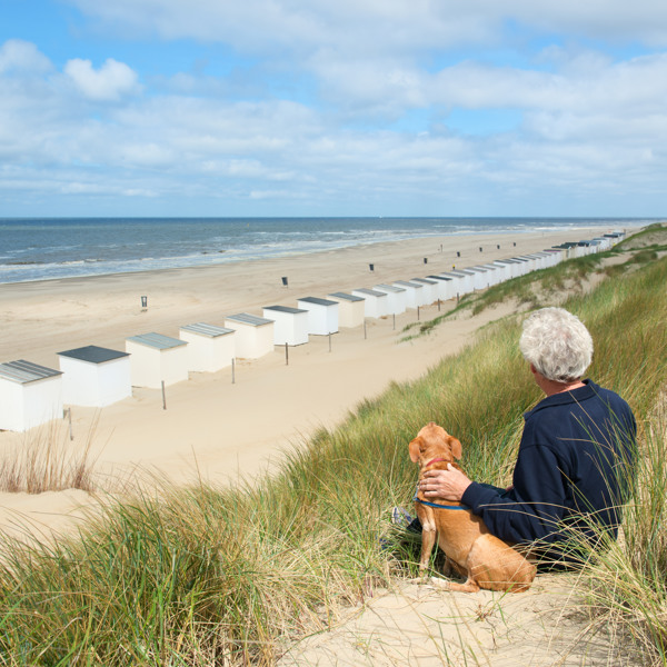 Komfortabler Urlaub am Meer