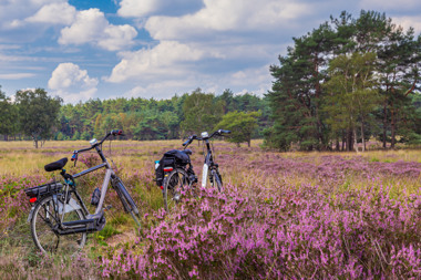 Summio_Parcs_Gelderland_Omgeving_De_Hoge_Veluwe_007.jpg