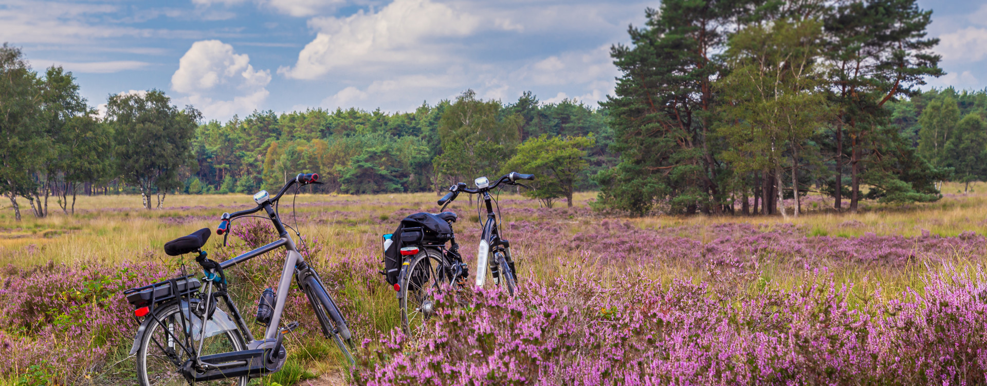 Boek nu je vakantie in Gelderland