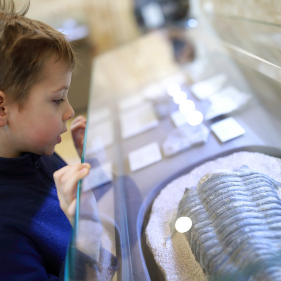 Bezoek interessante musea in de omgeving van Plasmolen