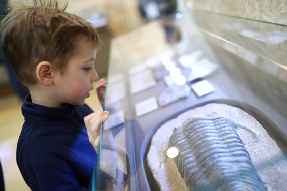 Bezoek interessante musea in de omgeving van Plasmolen