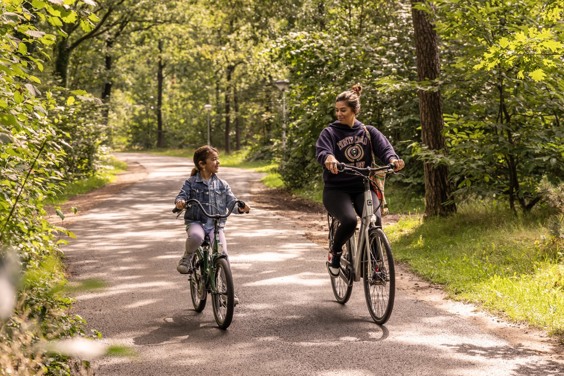 Verken de omgeving met de fiets op de Veluwe