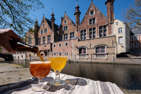 Omgeving Brugge in de buurt van vakantiepark bij Cadzand