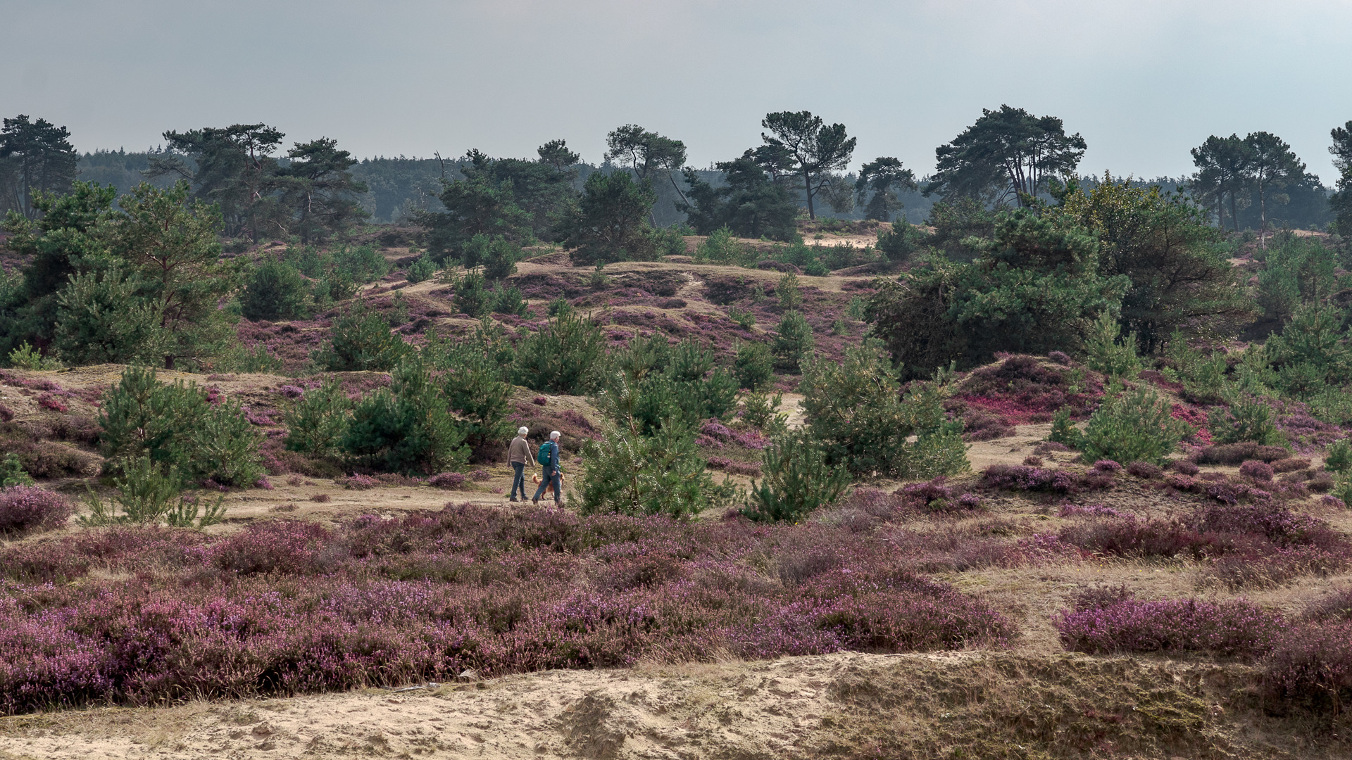 Une réserve naturelle majeure en Europe