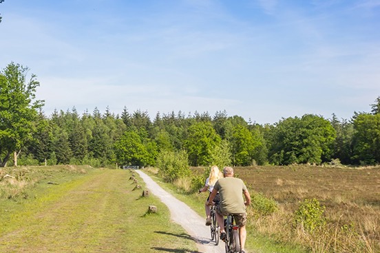 Wandel- en fietsplezier in natuurgebied het Kootwijkerzand