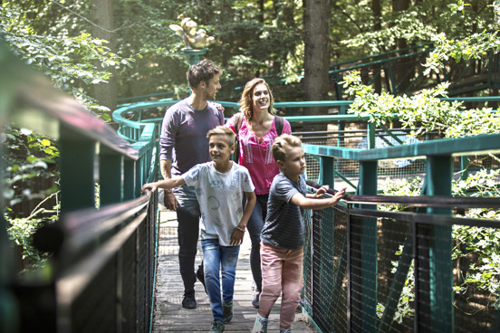 Bewandel het Boomkroonpad in Drouwen tijdens je vakantie in Gasselte