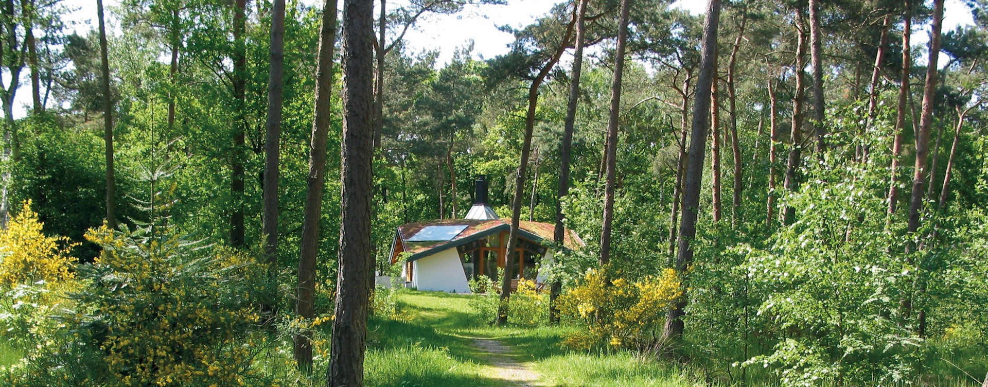 Summio Bungalowpark Herperduin, North-Brabant