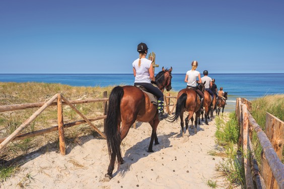 Discover the best activities