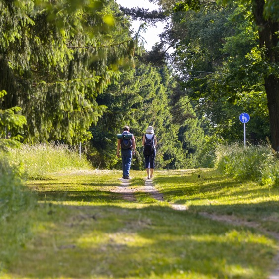 The EifelSchleife Kronenburger Himmelsglück
