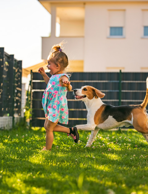 Genießen Sie einen unbeschwerten Aufenthalt in einem Ferienhaus mit umzäuntem Garten [ParentCategory