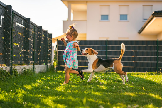Luxe accommodatie waar je hond welkom is