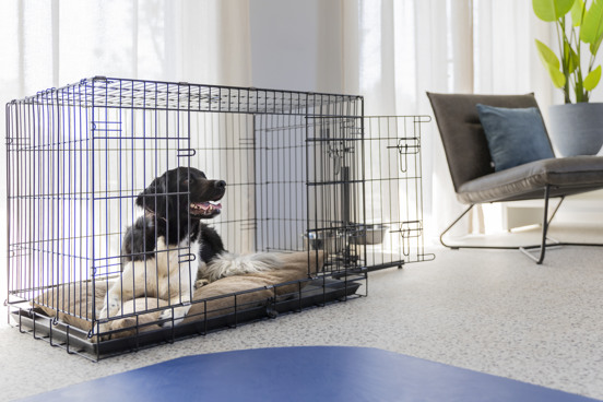 Die ideale Unterkunft für einen Urlaub mit Ihrem Hund