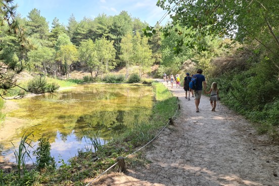 Bewonder de flora en fauna op de Baai van de Somme tijdens je vakantie
