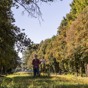 Tips in de omgeving