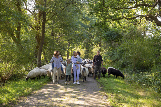 Wandelen en fietsen door een oerlandschap