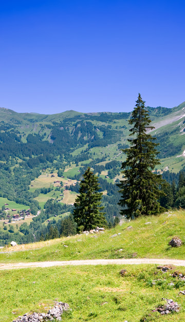 Entdecken Sie die schönsten Seiten des Salzkammerguts