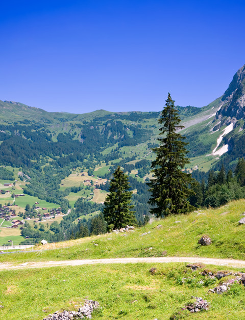 Entdecken Sie die schönsten Seiten des Salzkammerguts