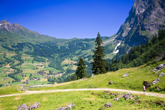 Hundewanderungen in Österreich mit beeindruckenden Ausblicken
