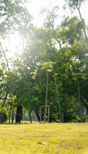 Beleef de lente tijdens een ontspannen vakantie in mei in Alicante