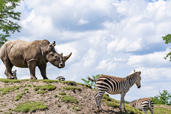 Een dagje uit naar het leuke familiepark Wildlands Adventure Zoo Emmen