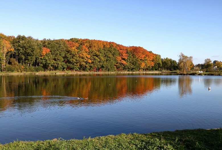 Summio_Parcs_Drenthe-Schoonhoven.jpg