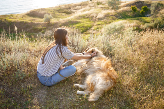 Een weekendje weg met de hond aan de kust