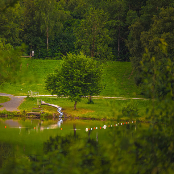 De groene omgeving van Kronenburg