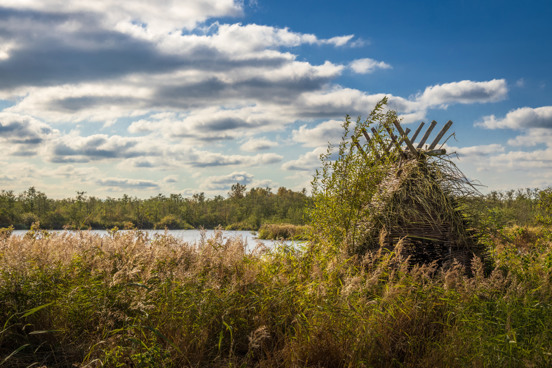 Geniet van rust en avontuur in Friesland