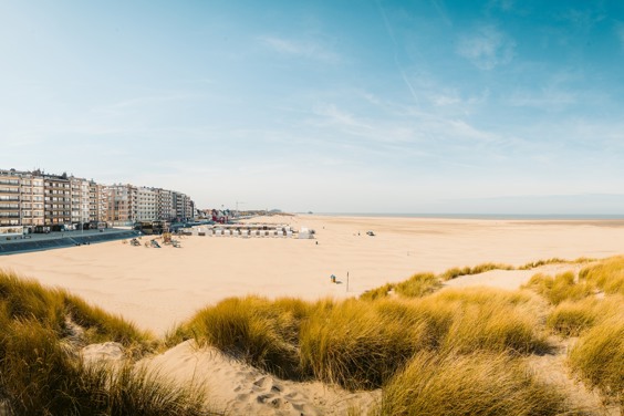 Ontdek tijdens je verblijf op ons luxe vakantiepark in Zeeland de leukste plaatsen in de omgeving zoals Knokke