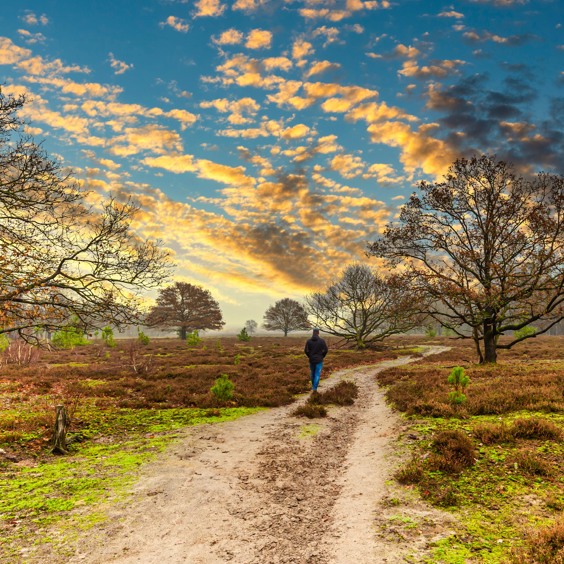 Herfst in Schaijk