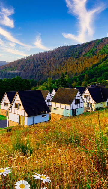 Geniet van een verblijf in de Eifel