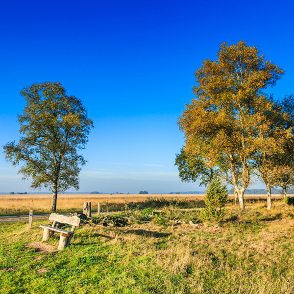 Omgeving Buitenplaats de Marke van Ruinen