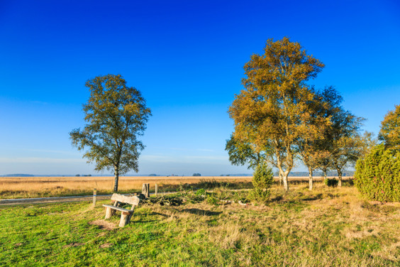 Spot bijzondere vogels in het Nationaal Park Dwingelderveld