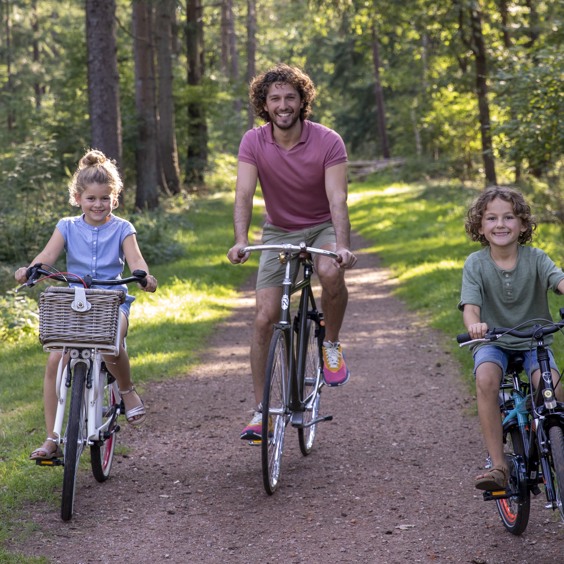 Fietsverhuur op Summio Vakantiepark Reevallis