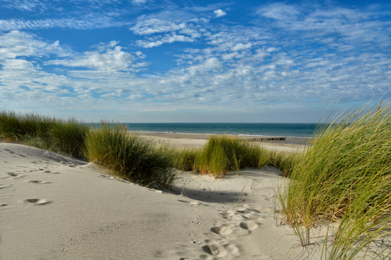 Gezellige badplaats Renesse in Scharendijke