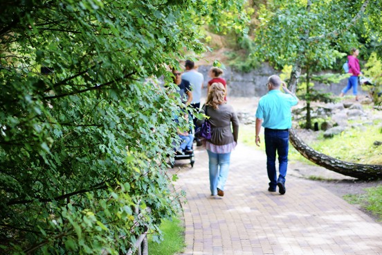 Tip 4: Beleef de zomer in het Zuid-Limburgse GaiaZOO