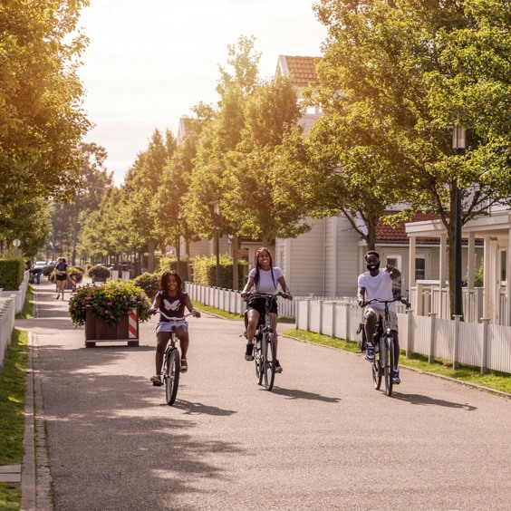 Waar kan ik een fiets huren in Bruinisse?