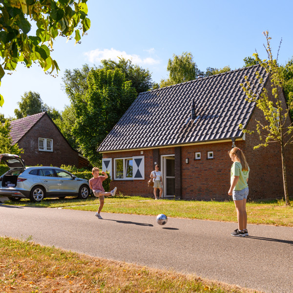 Summio Bosparc de Hoevenaer