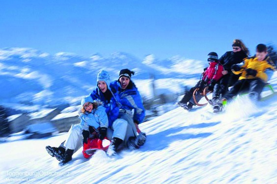 Tobogganing on the natural toboggan run in Gosau