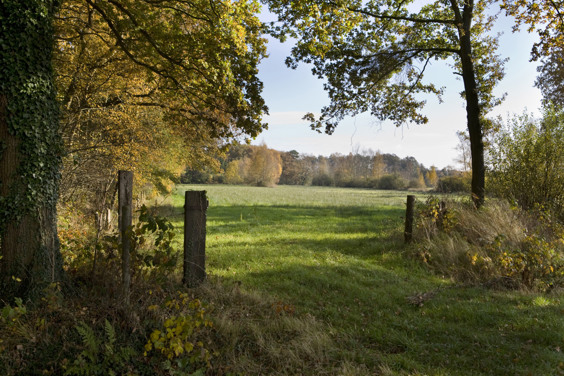 Verken de natuur van het Nationaal Park Drents-Friese Wold