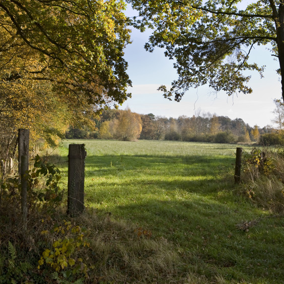 Verken de natuur van het Nationaal Park Drents-Friese Wold