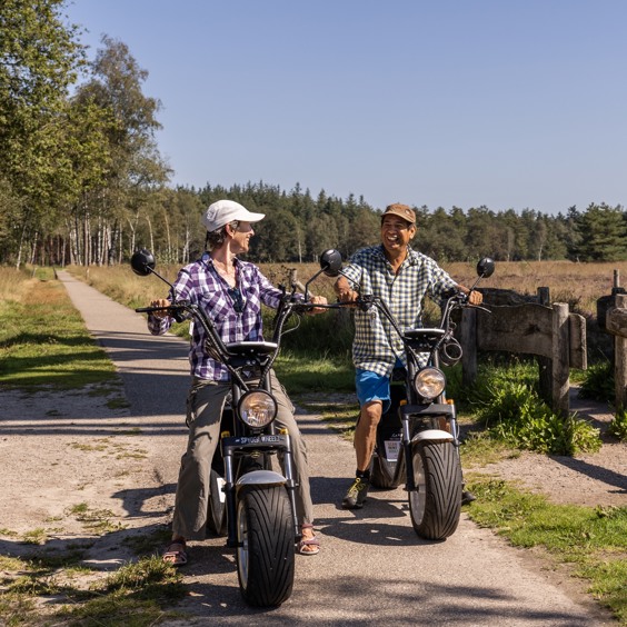 Ferienparks nahe Deutschland in naturnaher Umgebung