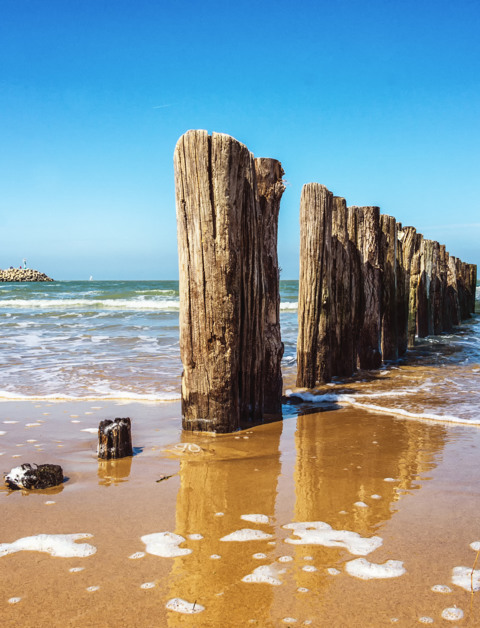 Luxury and relaxation on the Zeeland coast