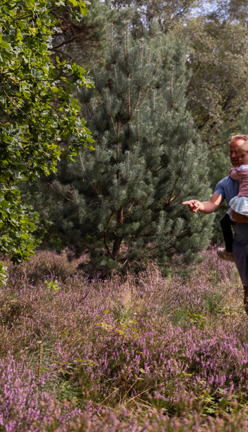 Entdecken Sie die Veluwe von unseren Summio Ferienparks aus